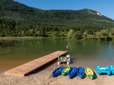 camping Flower Innature photo 15