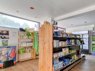 camping Flower Innature photo 16