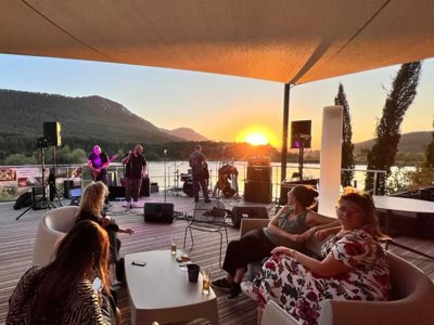 camping Flower Innature photo 17