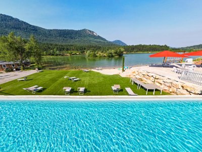 camping Flower Innature photo 2