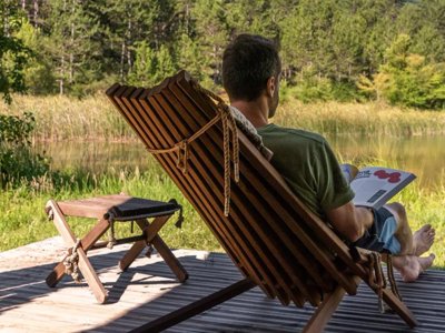 camping Flower Innature photo 20