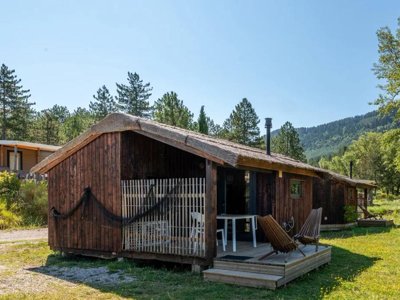 camping Flower Innature photo 26