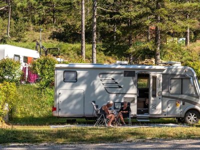 camping Flower Innature photo 27