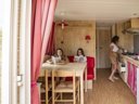 Cliquez pour découvrir toutes les photos de l'HÉBERGEMENT ! hébergement insolite - camping Paradis La Promenade photo 2