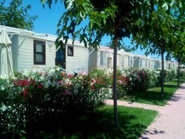 Camping Pas Cher vous présente avec son site Officiel campingpascher.fr, le Camping Heliopolis & Village classé 4 étoiles, situé sur la commune de Pineto dans le département Teramo (Abruzzes) en Italie. Le camping Heliopolis & Village, vous présente un hébergement de type mobil-home de 16 m² pour 2 personnes avec climatisation et télévision. Le camping Heliopolis & Village vous propose du sam. 29 août au sam. 05 septembre 2026, en promotion à -20% pour 7 nuits à 253,60 € au lieu de 317,0 € soit une Économie de 63,40 €. Cette location propose 101 dates différentes pour réserver votre séjour. Découvrez également les 12 autres gammes d'hébergements du camping. Mer, Piscine extérieure, Animations familiales, Club enfants, Aire de jeux enfants, Canoë-kayak, Court de tennis, Cyclisme, Ping-pong, Pédalo, Terrain de beach-volley, Terrain de football, Terrain multisports, Supermarché,... En savoir plus : cliquez-ICI.