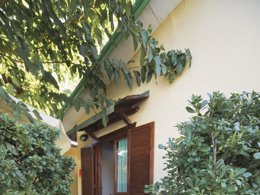 Camping Pas Cher vous présente avec son site Officiel campingpascher.fr, le Camping Heliopolis & Village classé 4 étoiles, situé sur la commune de Pineto dans le département Teramo (Abruzzes) en Italie. Le camping Heliopolis & Village, vous présente un hébergement de type maison avec climatisation et télévision. Le camping Heliopolis & Village vous propose du vendredi 29 mai au vendredi 05 juin 2026, en promotion à -20% pour 7 nuits à 274,40 € au lieu de 343,0 € soit une Économie de 68,60 €. Cette location propose 75 dates différentes pour réserver votre séjour. Découvrez également les 12 autres gammes d'hébergements du camping. Mer, Piscine extérieure, Animations familiales, Club enfants, Aire de jeux enfants, Canoë-kayak, Court de tennis, Cyclisme, Ping-pong, Pédalo, Terrain de beach-volley, Terrain de football, Terrain multisports, Supermarché,... En savoir plus : cliquez-ICI.