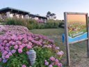 Cliquez pour découvrir toutes les photos de l'ÉTABLISSEMENT ! village vacances Club Belambra Omaha Beach photo 2