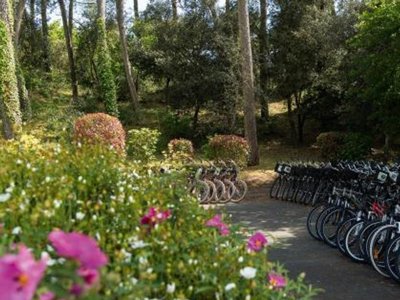 Cliquez pour découvrir toutes les photos de l'ÉTABLISSEMENT ! village vacances Club Belambra Les Mathes photo 9
