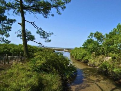 Cliquez pour découvrir toutes les photos de l'ÉTABLISSEMENT ! résidence Goélia Les Rives De Saint Brice photo 14