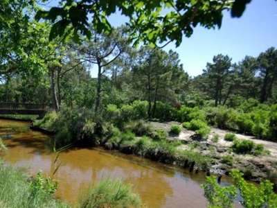 Cliquez pour découvrir toutes les photos de l'ÉTABLISSEMENT ! résidence Goélia Les Rives De Saint Brice photo 17