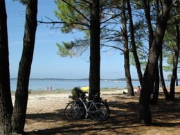 Camping Pas Cher vous présente avec son site Officiel campingpascher.fr, la Résidence Nemea Les Rives De Saint Brice, située sur la commune de Arès dans le département Gironde (Aquitaine) en France. La résidence Nemea Les Rives De Saint Brice, vous présente un hébergement de type maison de 40 m² et télévision. La résidence Nemea Les Rives De Saint Brice vous propose du sam. 07 mars au sam. 14 mars 2026 pour 7 nuits à 336€. Cette location propose 22 dates différentes pour réserver votre séjour. Découvrez également les 5 autres gammes d'hébergements de la résidence. Les Avis clients pour la Résidence Nemea Les Rives De Saint Brice sont excellents avec une note moyenne de 8 sur 10. Mer, Piscine couverte, Piscine extérieure, Club enfants, Ping-pong, Salle de fitness,... En savoir plus : cliquez-ICI.