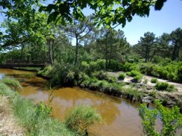 Camping Pas Cher vous présente avec son site Officiel campingpascher.fr, la Résidence Nemea Les Rives De Saint Brice, située sur la commune de Arès dans le département Gironde (Aquitaine) en France. La résidence Nemea Les Rives De Saint Brice, vous présente un hébergement de type maison de 70 m² et télévision. La résidence Nemea Les Rives De Saint Brice vous propose du sam. 07 mars au sam. 14 mars 2026 pour 7 nuits à 385€. Cette location propose 17 dates différentes pour réserver votre séjour. Découvrez également les 5 autres gammes d'hébergements de la résidence. Les Avis clients pour la Résidence Nemea Les Rives De Saint Brice sont excellents avec une note moyenne de 8 sur 10. Mer, Piscine couverte, Piscine extérieure, Club enfants, Ping-pong, Salle de fitness,... En savoir plus : cliquez-ICI.