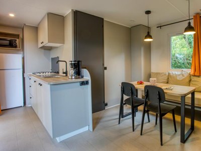 Cliquez pour découvrir toutes les photos de l'HÉBERGEMENT ! mobil-home - La Salvinie photo 2