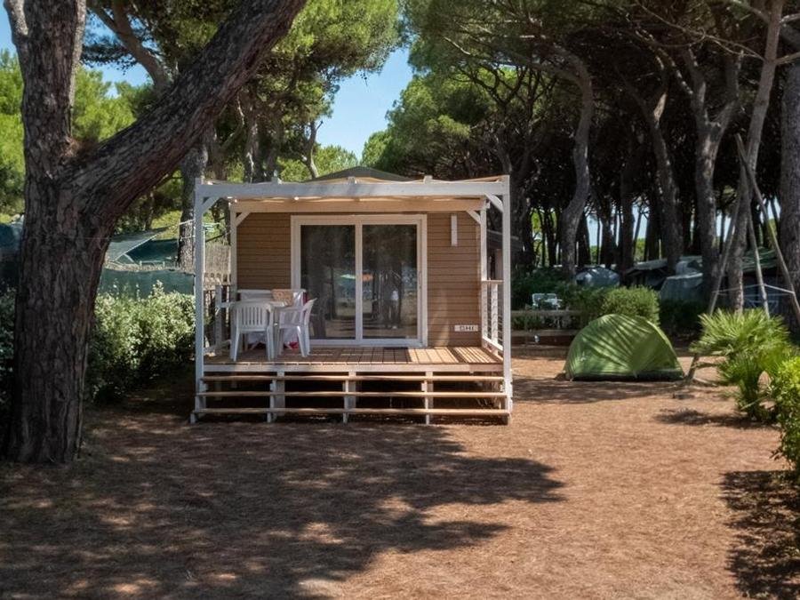 Camping Pas Cher vous présente avec son site Officiel campingpascher.fr, le Camping Gitavillage Argentario, situé sur la commune de Giannella dans le département Grosseto (Toscane) en Italie. Le camping Gitavillage Argentario vous propose un hébergement de type lodge de 20 m² avec climatisation. L'établissement vous propose 13 autres types d'hébergements. Découvrez tous nos séjours à petits prix dans la commune et aux alentours de Giannella du département : Grosseto (Toscane). Les Avis clients pour le Camping Gitavillage Argentario sont de 7 sur 10. Mer, Piscine extérieure, Animations familiales, Club enfants, Aire de jeux enfants, Ping-pong, Terrain de volley-ball, Bar, Dépôt de pain, Pizzeria, Plats à emporter, Supermarché,... En savoir plus : cliquez-ICI.