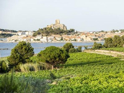 village vacances Village Vacances Les Romarins photo 9