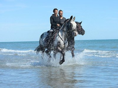 Cliquez pour découvrir toutes les photos de l'ÉTABLISSEMENT ! résidence Kermael photo 24