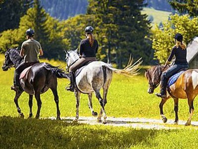 Cliquez pour découvrir toutes les photos de l'ÉTABLISSEMENT ! résidence Les Chalets Du Belvedere photo 9