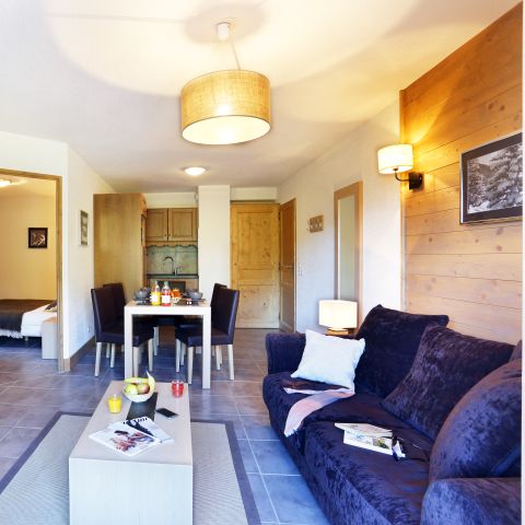 Cliquez pour découvrir toutes les photos de l'HÉBERGEMENT ! appartement - Le Grand Ermitage photo 3