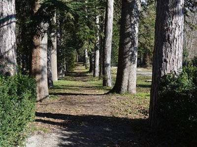 camping Rio Verde photo 2