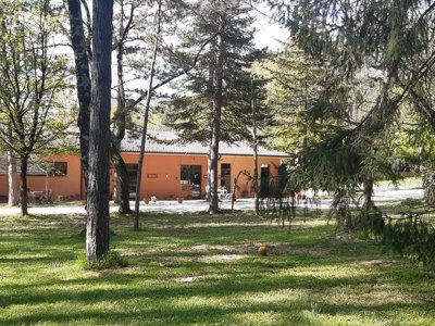 camping Rio Verde photo 21