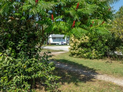 Cliquez pour découvrir toutes les photos de l'ÉTABLISSEMENT ! camping Du Plan D'Eau photo 9