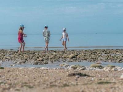 Cliquez pour découvrir toutes les photos de l'ÉTABLISSEMENT ! camping Slow Village Saint-Martin-de-Ré photo 14