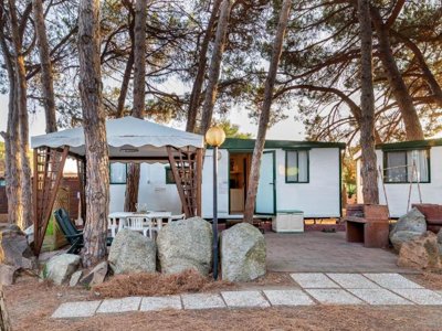 Cliquez pour découvrir toutes les photos de l'ÉTABLISSEMENT ! camping Le Cernie photo 8