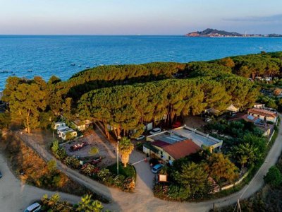 Cliquez pour découvrir toutes les photos de l'ÉTABLISSEMENT ! camping Le Cernie photo 9