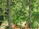 Cliquez pour découvrir toutes les photos de l'ÉTABLISSEMENT ! camping Saecula Natural Village Experience photo 9