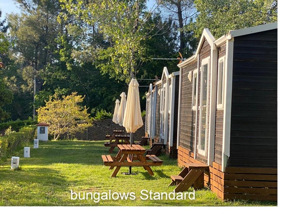 Camping Pas Cher vous présente avec son site Officiel campingpascher.fr, le Camping Caniza, situé sur la commune de Covelo dans le département Pontevedra (Galice) en Espagne. Le camping Caniza, vous présente un hébergement de type bungalow de 25 m² pour 3 personnes. Le camping Caniza vous propose du vendredi 05 juin au vendredi 12 juin 2026 avec un DÉPART DEMAIN pour 7 nuits à 833€. Cette location propose 46 dates différentes pour réserver votre séjour. Découvrez également les 2 autres gammes d'hébergements du camping. Les Avis clients pour le Camping Caniza sont excellents avec une note moyenne de 10 sur 10. Rivière, Piscine extérieure, Animation enfants, Aire de jeux enfants, Baby-foot, Cyclisme, Ping-pong, Randonnée, Terrain de football, Terrain multisports, Restaurant, Épicerie,... En savoir plus : cliquez-ICI.
