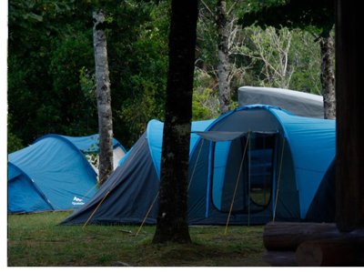 Cliquez pour découvrir toutes les photos de l'ÉTABLISSEMENT ! camping Caniza photo 20