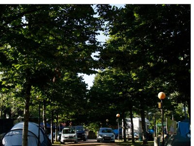 Cliquez pour découvrir toutes les photos de l'ÉTABLISSEMENT ! camping Caniza photo 22