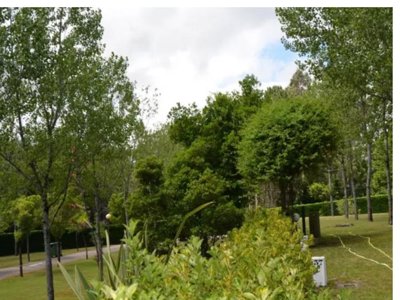 Cliquez pour découvrir toutes les photos de l'ÉTABLISSEMENT ! camping Caniza photo 27