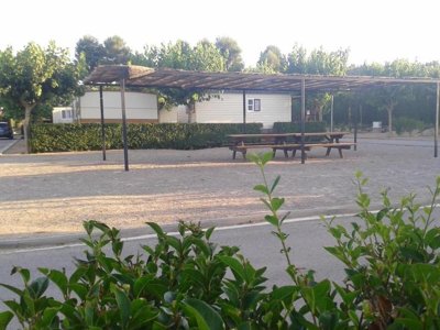camping Fayón Fishing photo 18