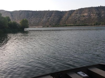 camping Fayón Fishing photo 19