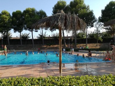 camping Fayón Fishing photo 2