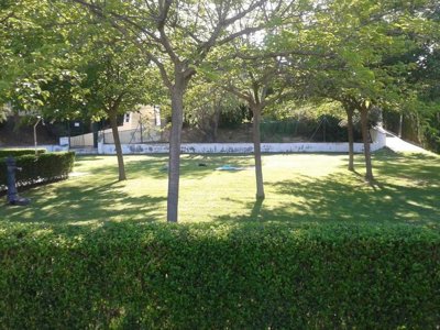 camping Fayón Fishing photo 4
