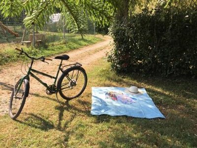 camping Montorfano photo 13