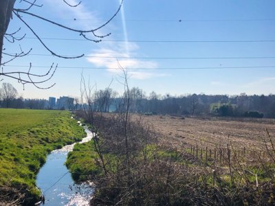 camping Montorfano photo 14