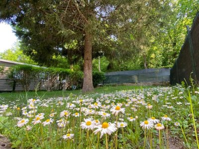 chalet - Montorfano photo 8