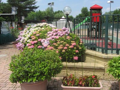 camping Montorfano photo 21