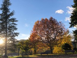 Camping Pas Cher vous présente avec son site Officiel campingpascher.fr, la Résidence Domaine Des Vans classé 3 étoiles, située sur la commune de Les Vans dans le département Ardèche (Rhône Alpes) en France. La résidence Domaine Des Vans, vous présente un hébergement de type maison de 41 m² pour 2 personnes et télévision. La résidence Domaine Des Vans vous propose du vendredi 03 avril au vendredi 10 avril 2026 pour 7 nuits à 455€. Cette location propose 168 dates différentes pour réserver votre séjour. Découvrez également les 2 autres gammes d'hébergements de la résidence. Rivière, Piscine extérieure, Aire de jeux enfants, Canoë-kayak, Cyclisme, Escalade, Ping-pong, Pétanque, Randonnée, Terrain multisports, Tir à l’arc,... En savoir plus : cliquez-ICI.