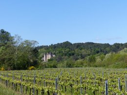 Camping Pas Cher vous présente avec son site Officiel campingpascher.fr, la Résidence Domaine Des Vans classé 3 étoiles, située sur la commune de Les Vans dans le département Ardèche (Rhône Alpes) en France. La résidence Domaine Des Vans, vous présente un hébergement de type maison de 41 m² pour 2 personnes et télévision. La résidence Domaine Des Vans vous propose du vendredi 03 avril au vendredi 10 avril 2026 pour 7 nuits à 546€. Cette location propose 209 dates différentes pour réserver votre séjour. Découvrez également les 2 autres gammes d'hébergements de la résidence. Rivière, Piscine extérieure, Aire de jeux enfants, Canoë-kayak, Cyclisme, Escalade, Ping-pong, Pétanque, Randonnée, Terrain multisports, Tir à l’arc,... En savoir plus : cliquez-ICI.