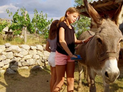 Cliquez pour découvrir toutes les photos de l'ÉTABLISSEMENT ! village vacances VVF Villages - Le Plateau Provençal - Garde-Colombe photo 16