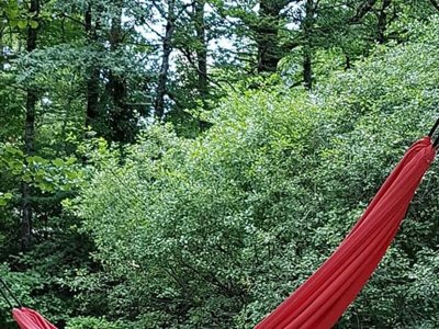 Cliquez pour découvrir toutes les photos de l'ÉTABLISSEMENT ! village vacances VVF Villages - Le Château Sur La Vienne - Nedde photo 10