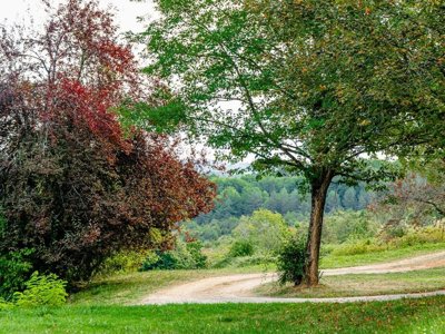 camping Flower Les Terrasses De Dordogne photo 22