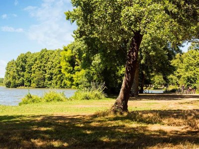 Cliquez pour découvrir toutes les photos de l'ÉTABLISSEMENT ! village vacances Club Belambra Estagnots - Pinède photo 27