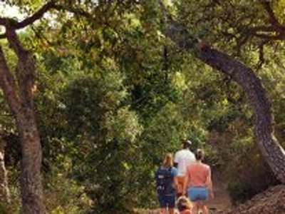 Cliquez pour découvrir toutes les photos de l'ÉTABLISSEMENT ! résidence Estartit Playa photo 14