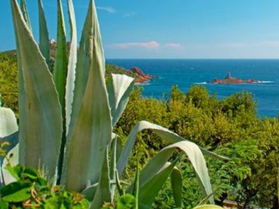 Cliquez pour découvrir toutes les photos de l'ÉTABLISSEMENT ! camping Tour Opérateur Sur Le De L'Ile D'Or photo 19