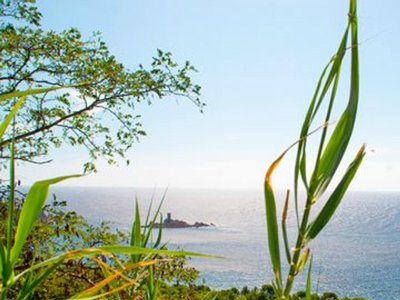 Cliquez pour découvrir toutes les photos de l'ÉTABLISSEMENT ! camping Tour Opérateur Sur Le De L'Ile D'Or photo 24